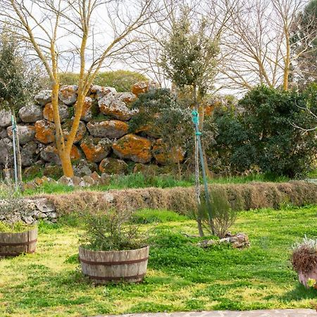Agriturismo Nuragh'Elighe Sindia Εξωτερικό φωτογραφία