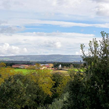 Agriturismo Nuragh'Elighe Sindia Εξωτερικό φωτογραφία