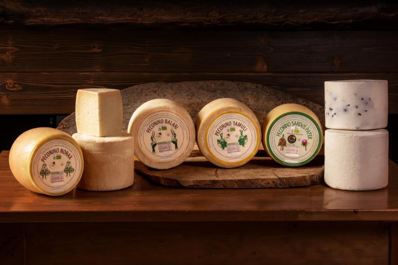 Agriturismo Nuragh'Elighe Sindia Εξωτερικό φωτογραφία