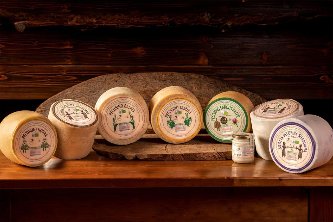 Agriturismo Nuragh'Elighe Sindia Εξωτερικό φωτογραφία