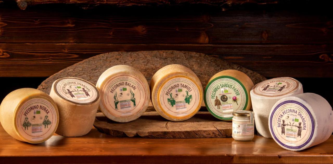 Agriturismo Nuragh'Elighe Sindia Εξωτερικό φωτογραφία