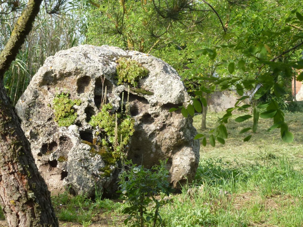 Agriturismo Nuragh'Elighe Sindia Εξωτερικό φωτογραφία