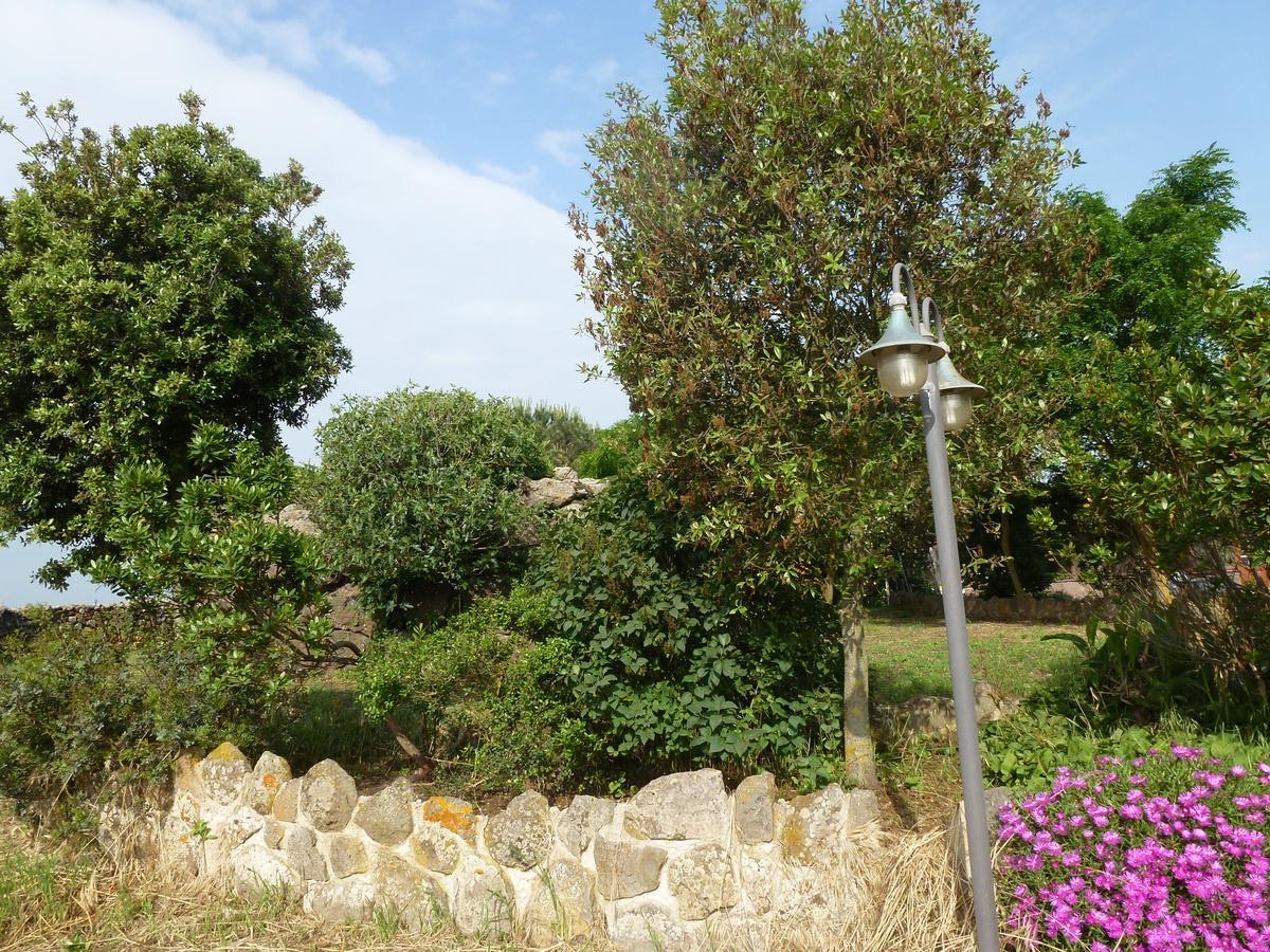 Agriturismo Nuragh'Elighe Sindia Εξωτερικό φωτογραφία