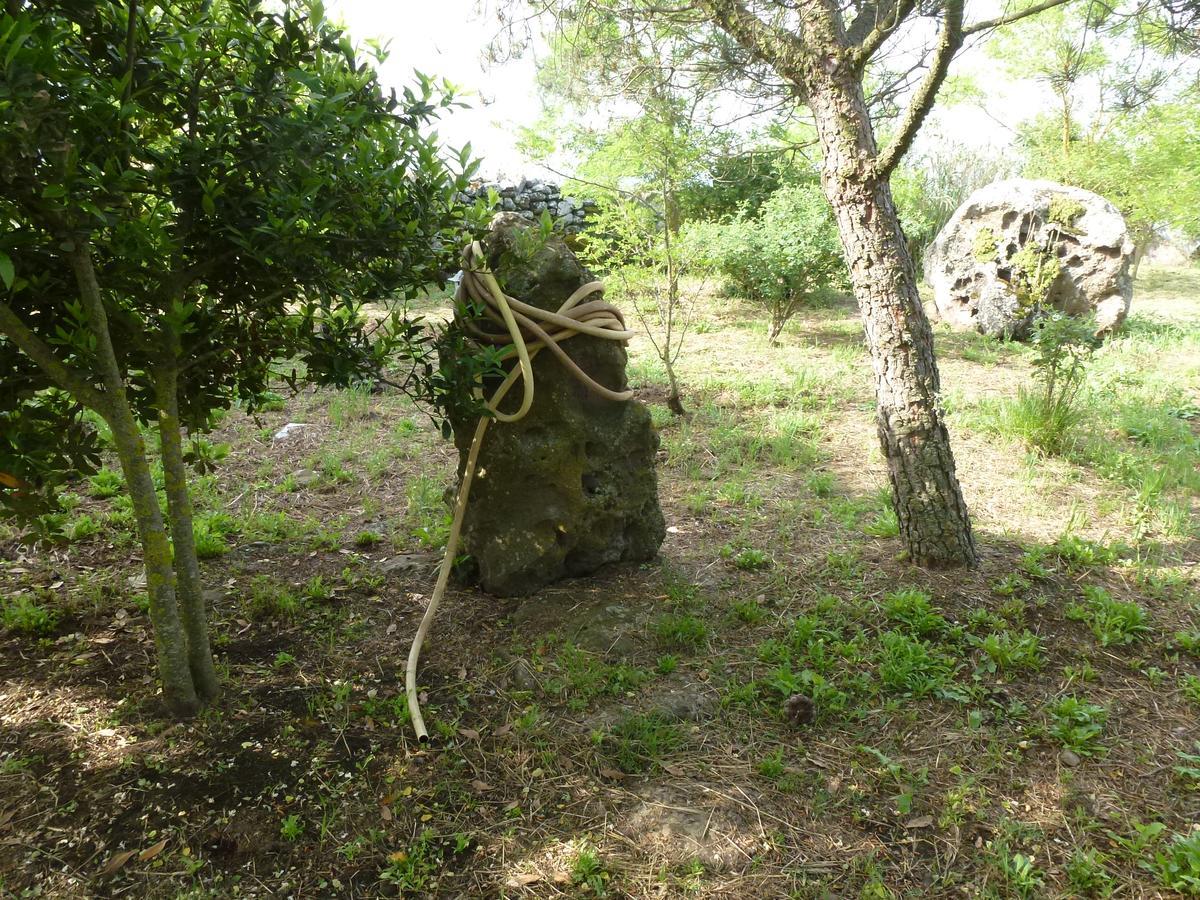 Agriturismo Nuragh'Elighe Sindia Εξωτερικό φωτογραφία