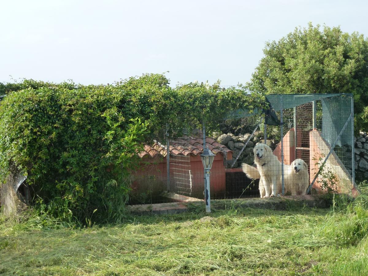 Agriturismo Nuragh'Elighe Sindia Εξωτερικό φωτογραφία