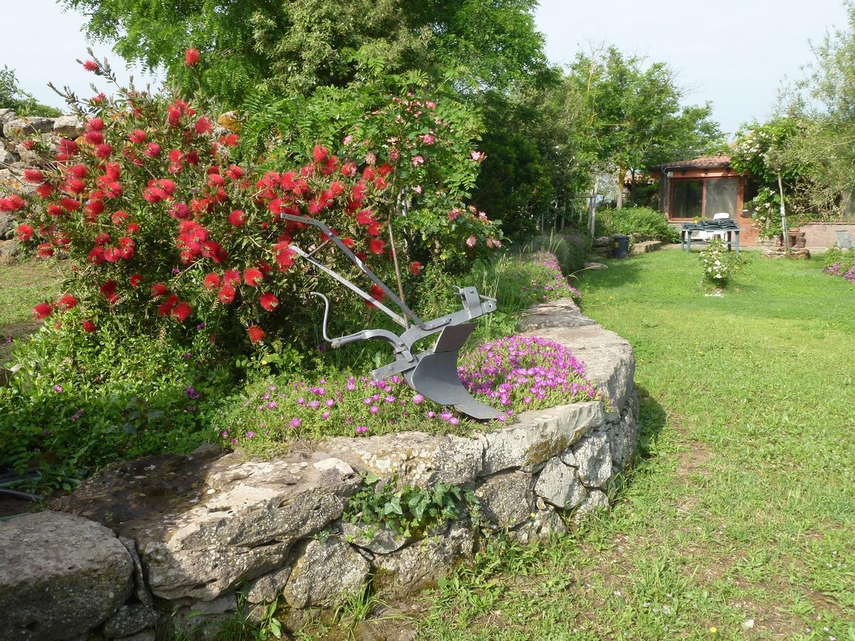 Agriturismo Nuragh'Elighe Sindia Εξωτερικό φωτογραφία