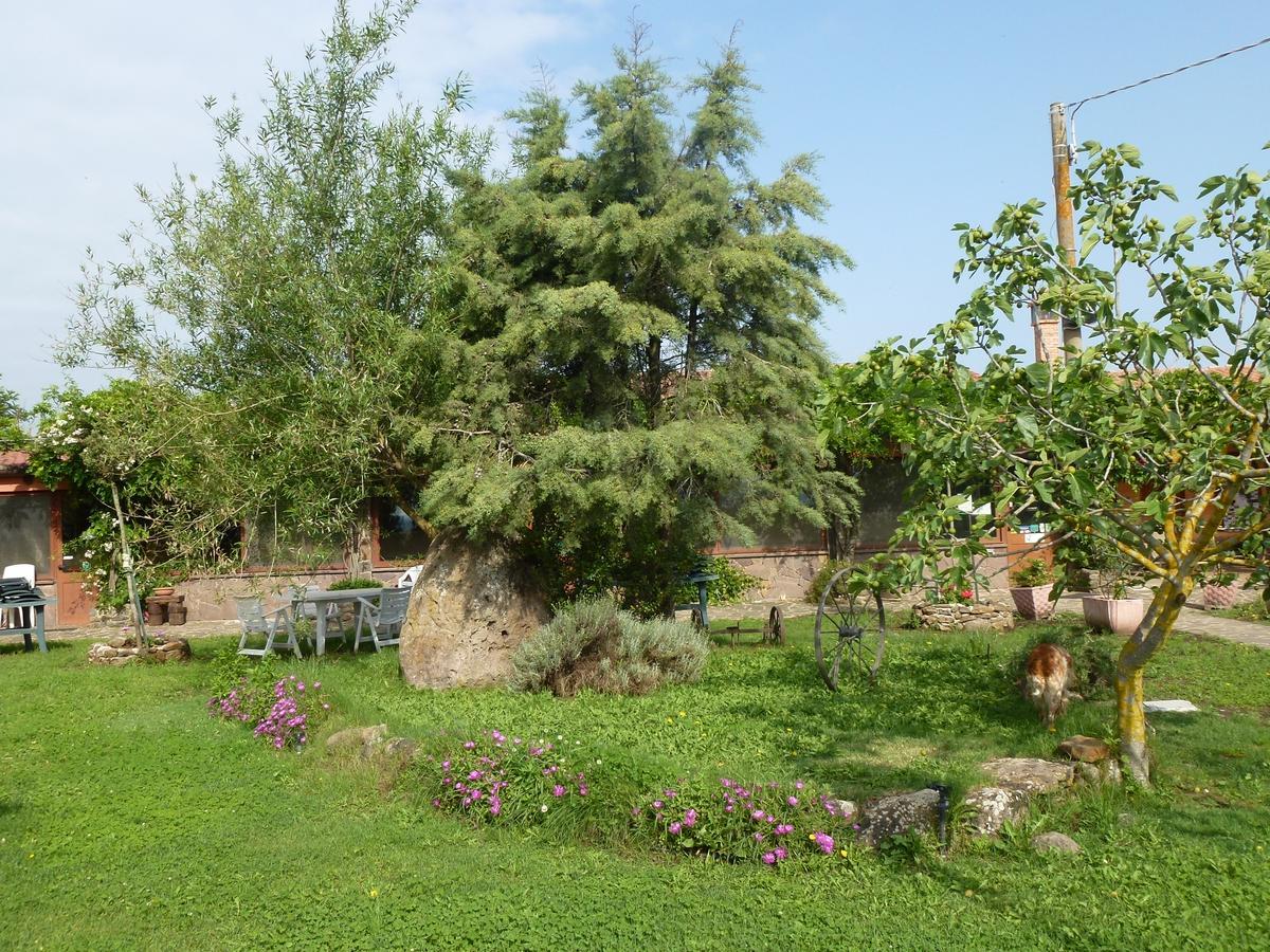 Agriturismo Nuragh'Elighe Sindia Εξωτερικό φωτογραφία